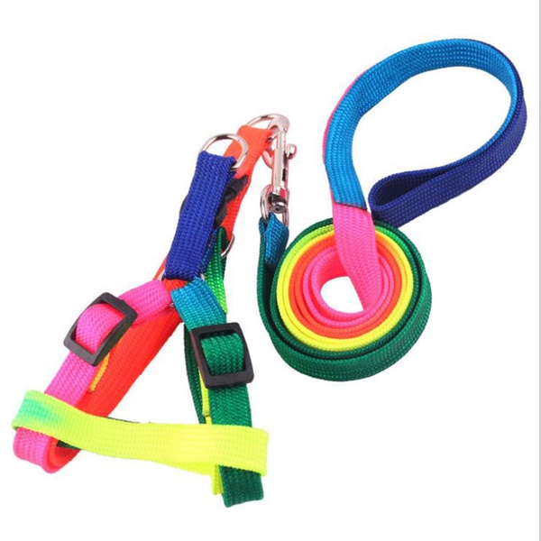 Colorful Chest Strap Leash